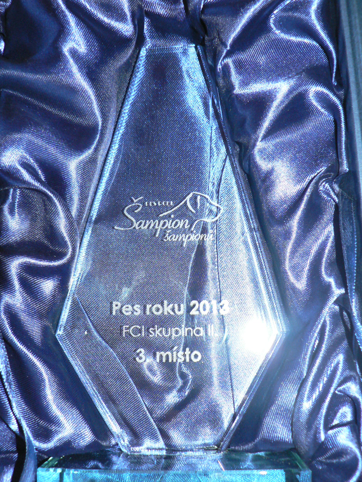 Pes roku 2013 - 3. místo v 2.sk. FCI