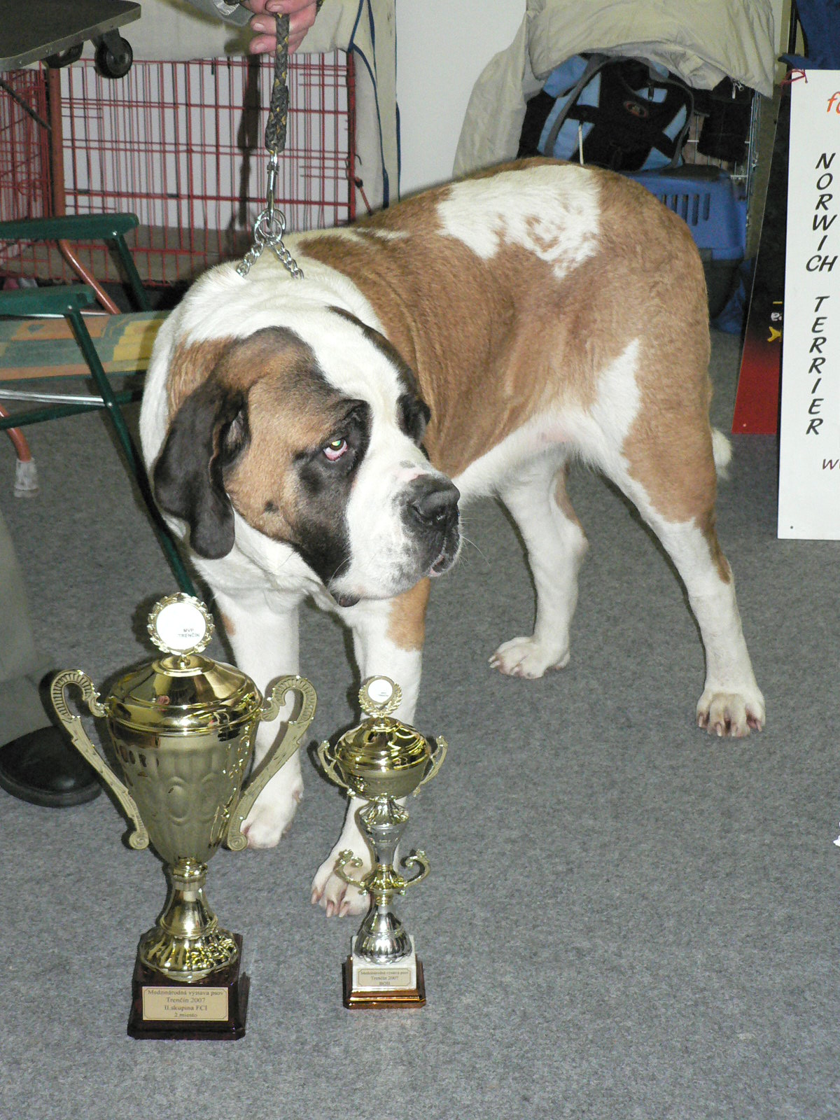 28.1.2007 MVP Trenčín (SK)